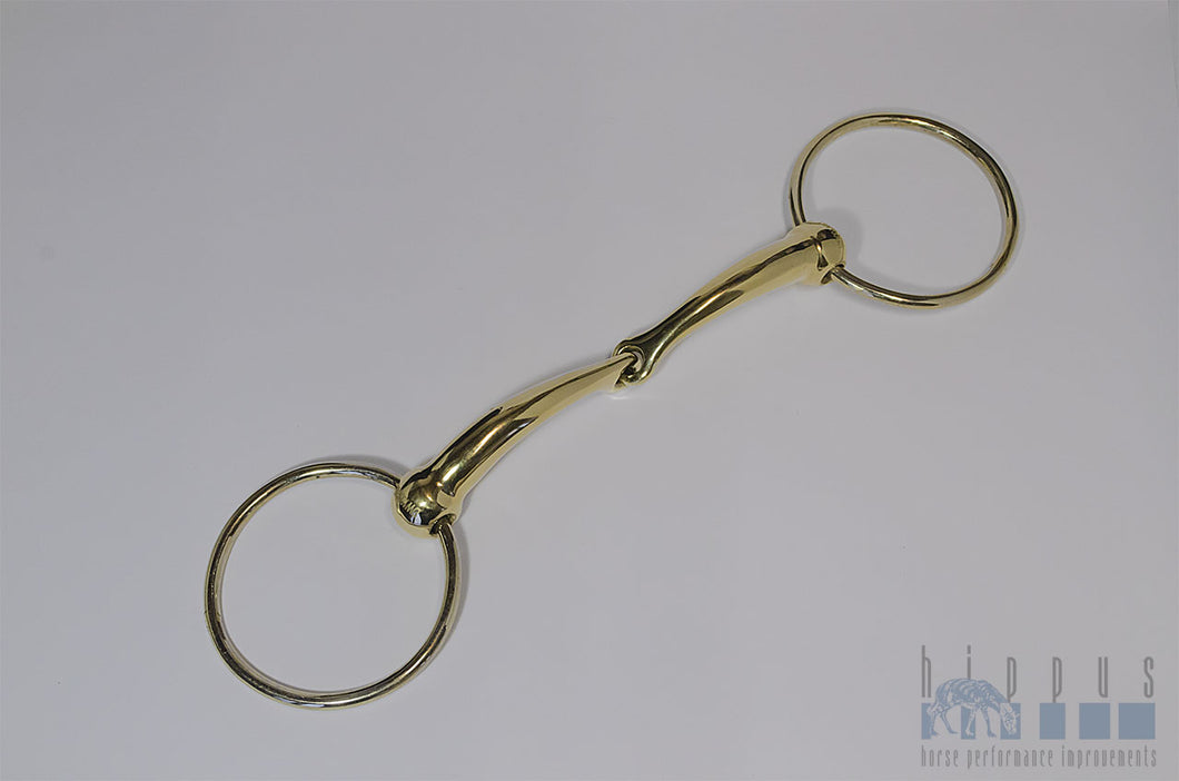 DW100G Hippus Horse Bit